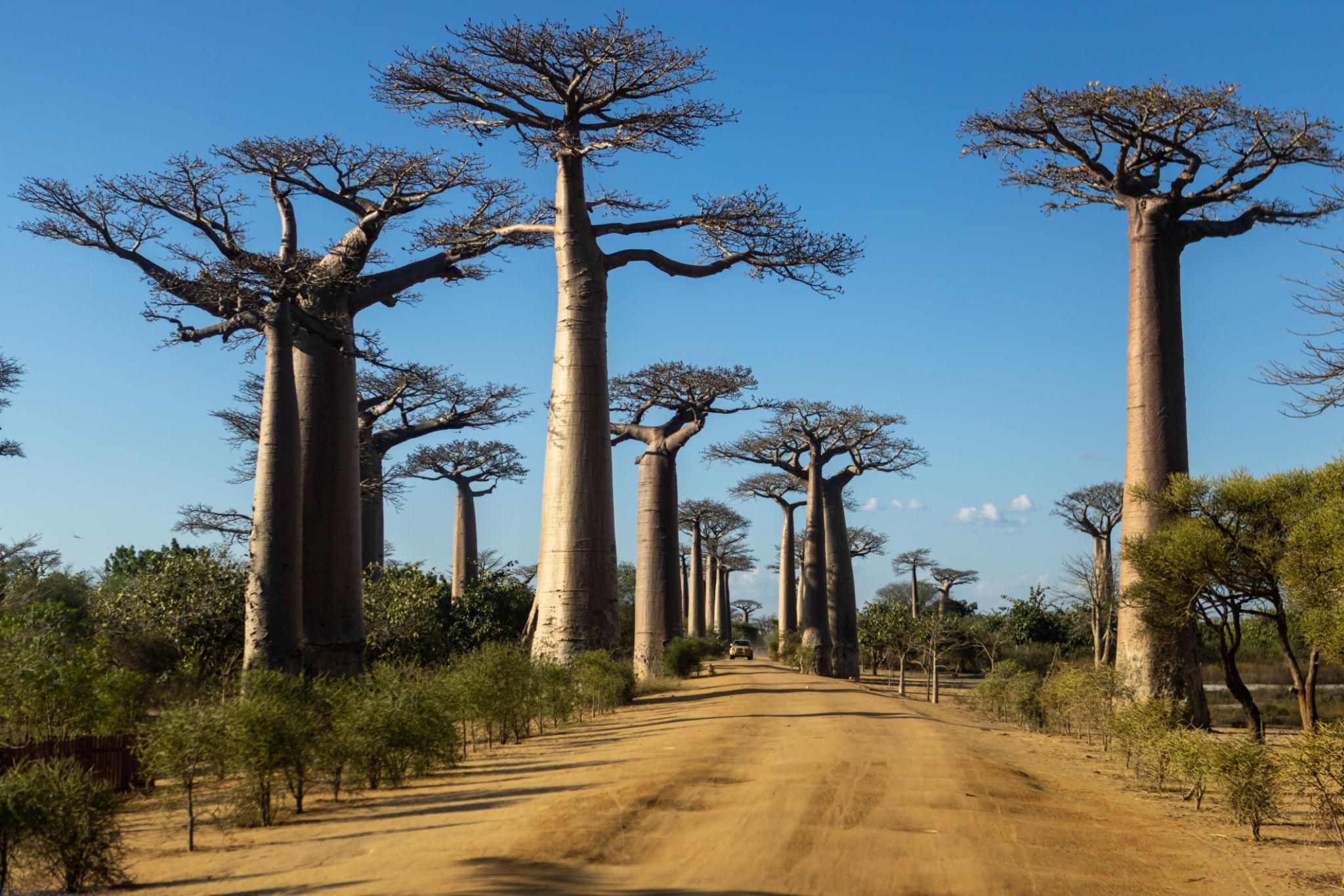Madagascar
