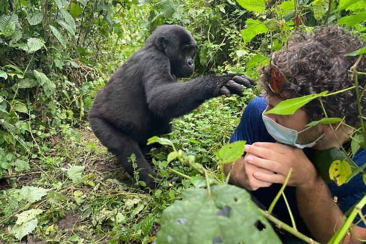 Uganda